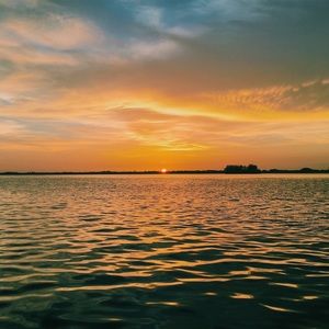 Meet your Posher, Bella